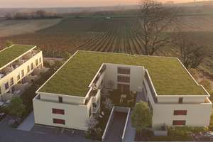 Terra Vigne - wohnen zwischen Stadt und Weinberg - Reihenmittelhaus – Die vollständige Adresse der Immobilie erhältst du vom Anbieter., 76829 Landau, Landau in der Pfalz – Vorschaubild 3