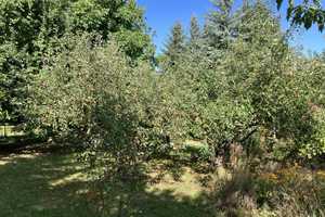 Gemütliche DHH in Eilsleben OT Wormsdorf – Börde (Kreis) – Vorschaubild 8