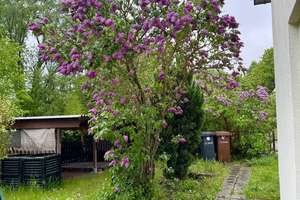 Bungalow mit Wintergarten und Gartenparadies in Borstel – Die vollständige Adresse der Immobilie erhältst du vom Anbieter., 39576 Stendal – Vorschaubild 17