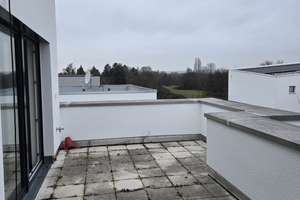 Traumhaus mit Mainblick Garten Garage und Pool - Einmalige Gelegenheit! – Zu den Mainwiesen 12, 63075 Rumpenheim, Offenbach am Main – Vorschaubild 21