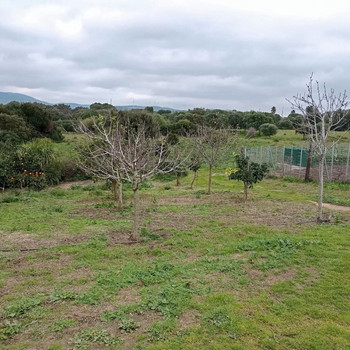 LANDHAUS IN LOS BARRIOS