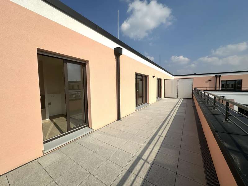 Dachterrasse.jpg