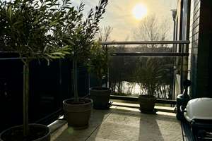 Property thumbnail 6