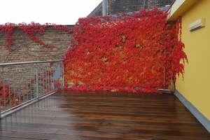 Kreuzbergstr. am Viktoriapark große Dachterrasse keine  Schrägen 90 qm 3 Zim.