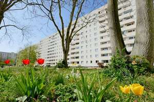 Charmante 2-Raumwohnung sucht liebenswerte Mieter – Lumumbastraße 5, 39126 Neustädter See, Magdeburg – Vorschaubild 6