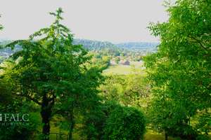 Naturparadies mit Weitblick auf die Stadt! Doppelhaus mit über 4.200 m² Grundstück - FALC Immobilien – Die vollständige Adresse der Immobilie erhältst du vom Anbieter., 74249 Jagsthausen – Vorschaubild 34