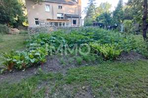 Hier Blühen Ihre Träume - Garten, Freiheit und Potenzial – Karl-Marx-Straße 1, 15328 Küstriner Vorland – Vorschaubild 7