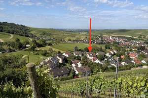 Modern sanierte 4-Zimmer-Wohnung in absoluter Traumlage von Pfaffenweiler