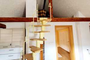 Property thumbnail 26