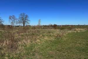 Jetzt bauen, ILB-Förderung nutzen: Grundstück + Massivhaus in Ahrensfelde-Eiche – provisionsfrei – Ahrensfelder Chaussee 15, 16356 Ahrensfelde – Vorschaubild 7
