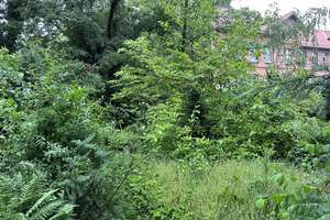 Tolles kleines Mehrfamilienhaus in Braunschweig - Alt Lehndorf! – An der Schule 8, 38116 Lehndorf-Watenbüttel, Braunschweig – Vorschaubild 6