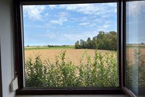 1300qm Garten + Fußbodenheizung+Glasfaseranschluss – 31177 Harsum – Vorschaubild 24
