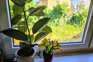Freist. EFH mit schönem Innenhof ,  Freisitz und Stellplatz!! – 67071 Oggersheim, Ludwigshafen am Rhein – Vorschaubild 4