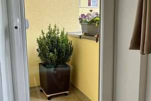 Business-Wohnung in bester Lage, Teilzeit an 3 Tagen pro Woche zu vermieten   – Die vollständige Adresse der Immobilie erhältst du vom Anbieter., 22083 Barmbek-Süd, Hamburg – Vorschaubild 6