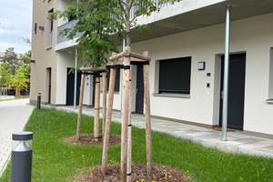 Kompaktes 1-Zimmer-Apartment mit Balkon Küche & in Erlangen – Paul-Gossen-Straße 117a, 91052 Rathenau, Erlangen – Vorschaubild 9