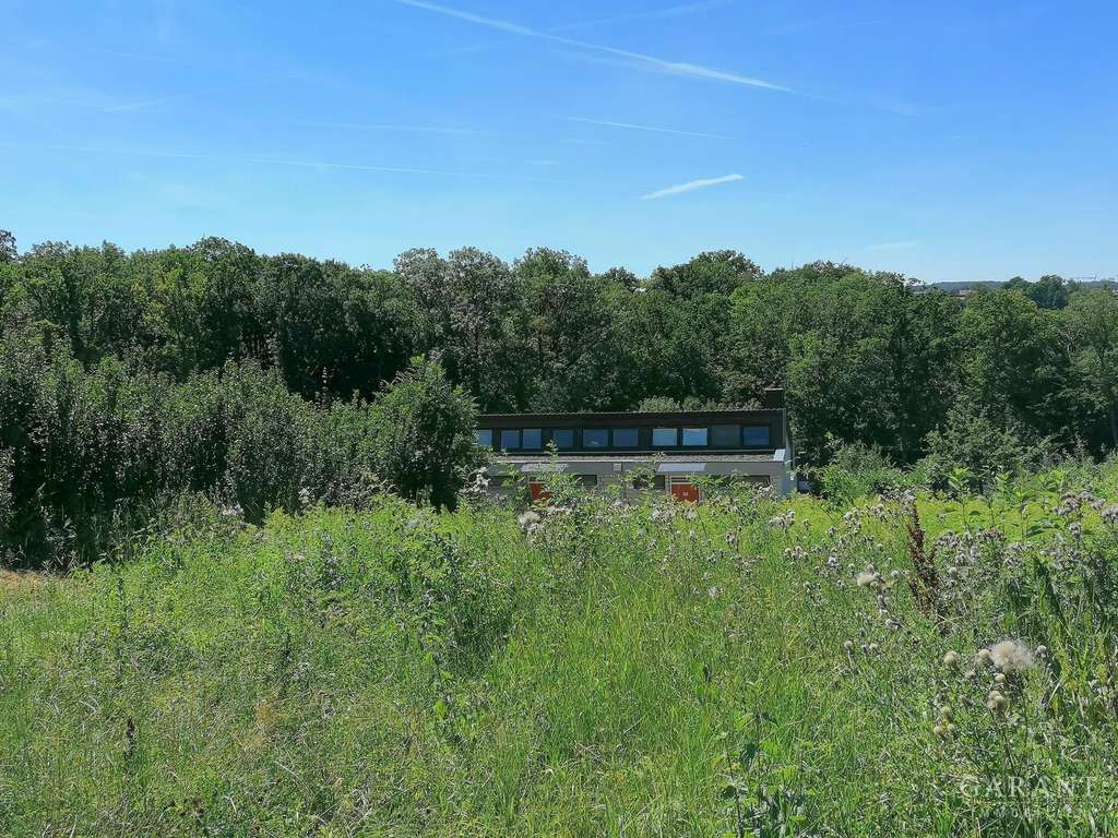 Immobilie in Kirchberg an der Jagst - Smart & charmant - Wohnen nahe der Natur - Bild 1