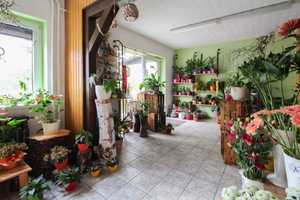 Kleines Wohn- und Geschäftshaus voll vermietet mit Garten und großer Garage – Meißen (Kreis) – Vorschaubild 5