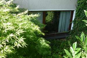 Schöne Ein Zimmer Wohnung in Essen, Fischlaken – Wintgenstrasse 15, 45239 Fischlaken, Essen – Vorschaubild 2