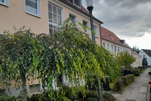 Schicke 3-Zimmer-Wohnung mit Balkon in Wolfsburg, Föhrenhorst 58, nahe Krankenhaus