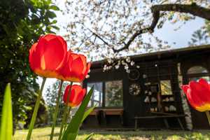 Idylle pur - Geräumiges Haus in ruhiger Lage mit Anbau und weitläufigem Garten – Karlsruhe (Kreis) – Vorschaubild 11
