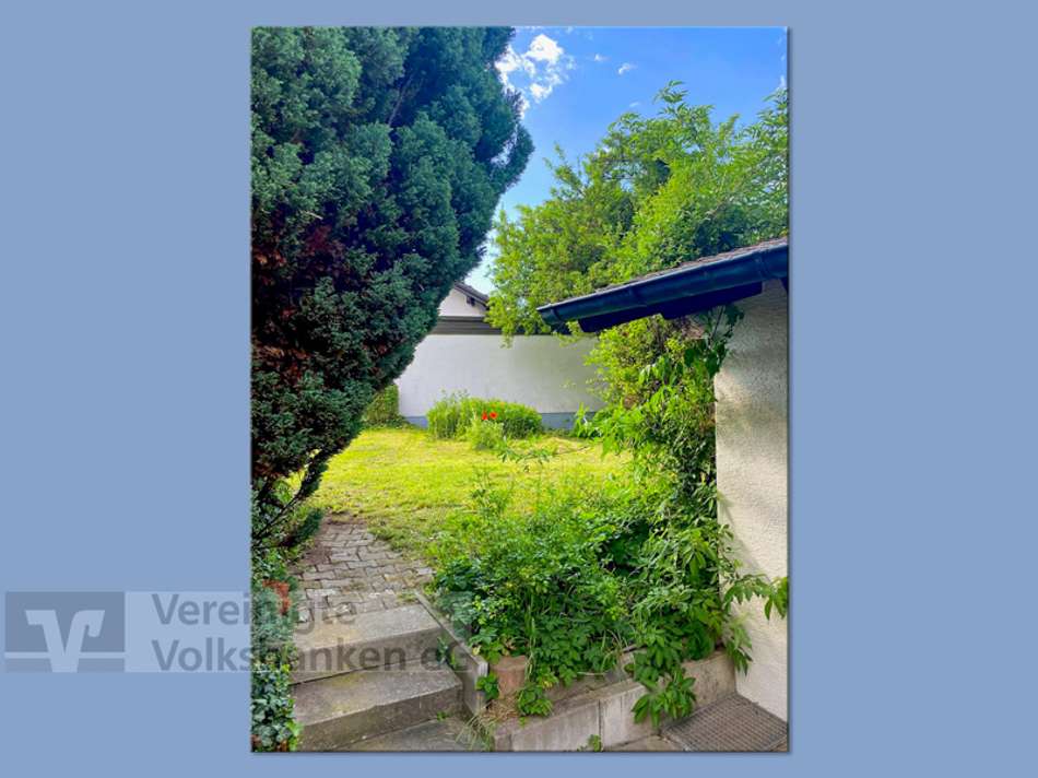 Blick in den Garten