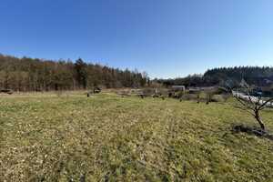 Gepflegter Bungalow mit 1 ha großem Grundstück zentral auf Rügen  – Rügen (Kreis) – Vorschaubild 28