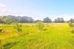 HIER IST PLATZ|PROVISIONSFREI | Großzügiger Vierseitenhof auf 8984 m² Grundstück mit viel Potential – Die vollständige Adresse der Immobilie erhältst du vom Anbieter., 16775 Löwenberger Land – Vorschaubild 8