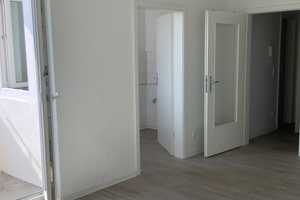 Ideal für Pendler und Singles. Ab sofort: renoviertes  Apartment mit Balkon – Friedrich-Karl-Str. 4, 46045 Oberhausen – Vorschaubild 4
