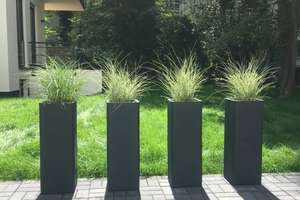Bezugsfreies sonniges 1 Zimmer Studio gegenüber des "Gleisdreieck Park", provisionsfrei – Möckernstraße 94, 10963 Kreuzberg, Berlin – Vorschaubild 13