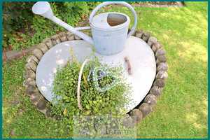 Exzellent gepflegter Walmdachbungalow mit wunderschönem Garten – Cuxhaven (Kreis) – Vorschaubild 46