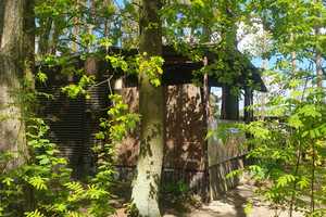 SCHÖNER BUNGALOW AM BEETZSEE ZU VERKAUFEN! NUR 100 METER BIS ZUM SEE! MIT ABGESCHLOSSENEM KANUPLATZ! – Campingplatz Flachsberg 1, 14778 Potsdam-Mittelmark (Kreis) – Vorschaubild 5