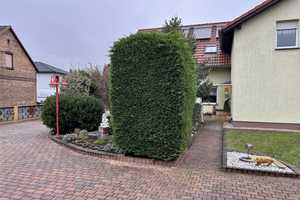 Großzügiges Zuhause mit Gartenidylle – Oberspreewald-Lausitz (Kreis) – Vorschaubild 3