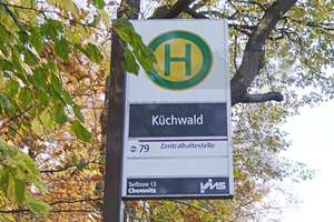 !! Single-Wohnung am Küchwald !! 2 Raum DG-Whg. mit EBK und tollem Tageslichtbad – Rilkestraße 66, 9114 Borna-Heinersdorf, Chemnitz – Vorschaubild 15