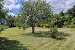 Property thumbnail 10