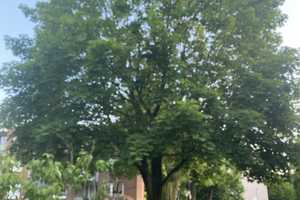 Kapitalanlage die Freude bereitet – Ost, Ratingen, 40885 Mettmann (Kreis) – Vorschaubild 2