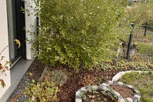 Moderne 2-Zimmer Wohnung mit schönem Garten, Nähe Rednitzgrund – 90763 Nördliche Südstadt, Fürth – Vorschaubild 18