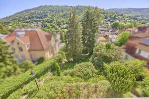Grün und stadtnah wohnen: Stilvolles Einfamilienhaus mit parkähnlichem Garten und Ausbaupotential – Die vollständige Adresse der Immobilie erhältst du vom Anbieter., 69118 Ziegelhausen, Heidelberg – Vorschaubild 10