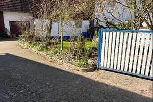 Renoviertes Wohnhaus mit diversen Nebengebäuden und einem großen Areal – Germersheim (Kreis) – Vorschaubild 5