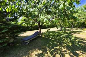 "Idyllischer Wohntraum im Grünen mit Terrassen, Garten und Seerosenteich" in Schulnähe! – Rhein-Hunsrück-Kreis – Vorschaubild 32