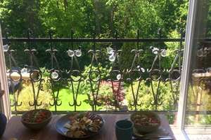 Wohnen im Grünen in Berlin-Mahlsdorf/Ideal für Singles/ab 1.5. bezugsfrei