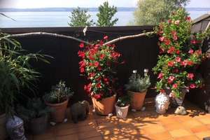 Rarität -Direkt am See - Doppelhaushälfte Hagnau mit eigenem Seezugang und Garten – Die vollständige Adresse der Immobilie erhältst du vom Anbieter., 88709 Hagnau am Bodensee – Vorschaubild 17