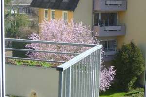 Bonn-Nord, ruhige 2-Zi.-Wohnung mit Balkon – Die vollständige Adresse der Immobilie erhältst du vom Anbieter., 53117 Auerberg, Bonn – Vorschaubild 15