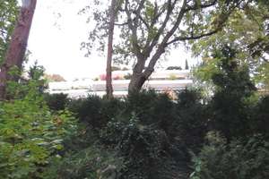 Grunewald-Top-Lage, große Süd-Terrasse mit freiem grünen Ausblick - zurzeit vermietet - – Die vollständige Adresse der Immobilie erhältst du vom Anbieter., 14193 Grunewald, Berlin – Vorschaubild 21