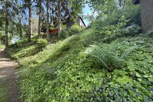1362 - Wohnen auf einer Ebene + ca. 3.500 m² Garten im herrlichen Frankenwald – Die vollständige Adresse der Immobilie erhältst du vom Anbieter., 95180 Berg – Vorschaubild 5