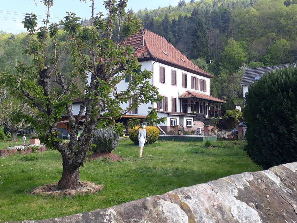 Garten