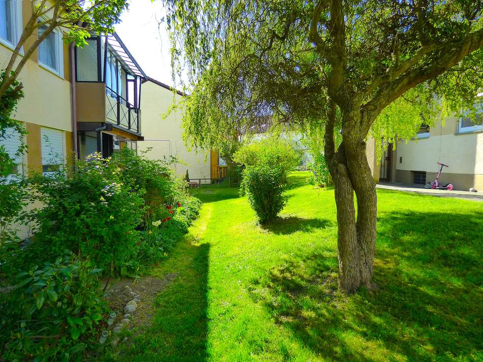 Garten am Haus