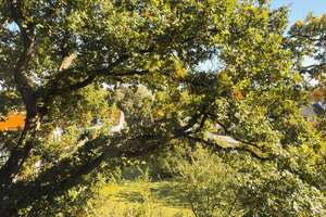 Property thumbnail 22