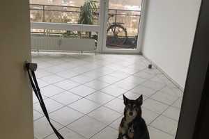 Property thumbnail 6