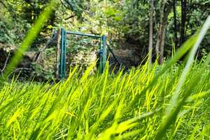 Oberste Hanglage mit Weitblick und Waldzugang: Repräsentatives freistehendes EFH – Mainz-Bingen (Kreis) – Vorschaubild 34