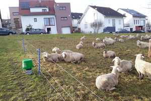Sommerhitze im Griff!? Besser geht es nicht!!! – Schlaitdorferstr. 5, 72657 Esslingen (Kreis) – Vorschaubild 13